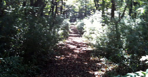 101022_11.jpg