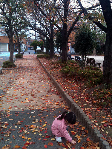 101122_14.jpg
