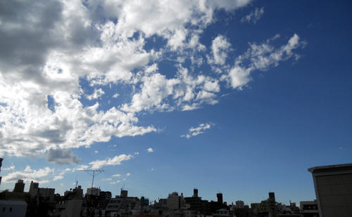 110301_1.JPG