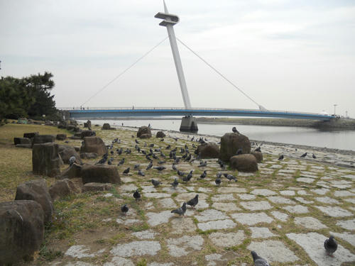 20110402_7.JPG