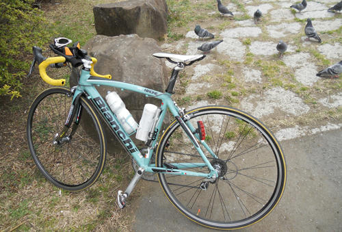 20110402_8.JPG