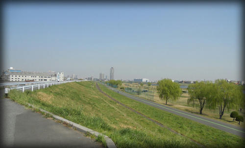 20110415_1.JPG