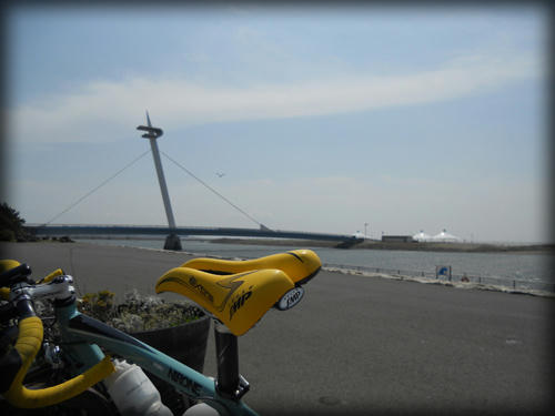 20110415_4.JPG