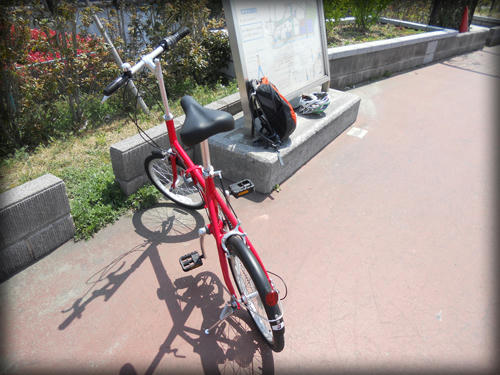 20110415_6.JPG