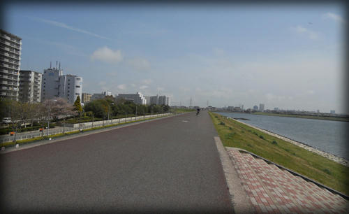 20110416_9.JPG