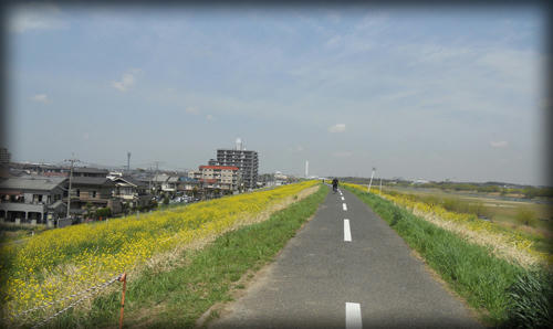 20110416_12.JPG