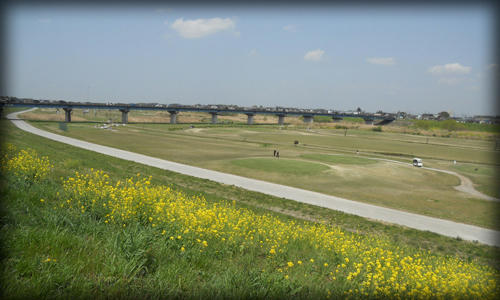 20110416_13.JPG