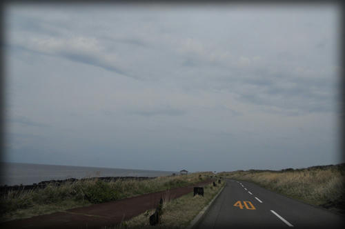20110423_9.JPG