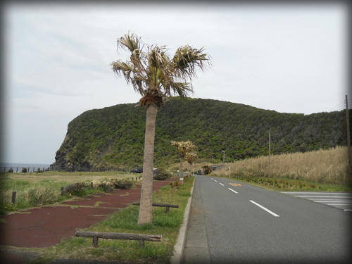 20110423_10.JPG