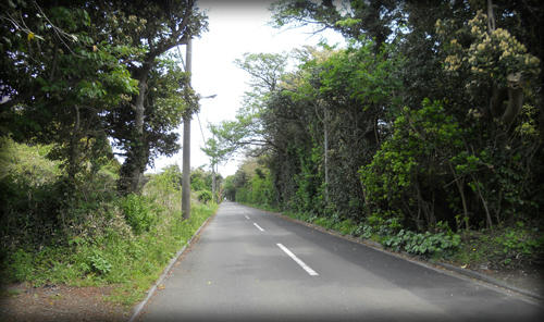 20110423_13.JPG