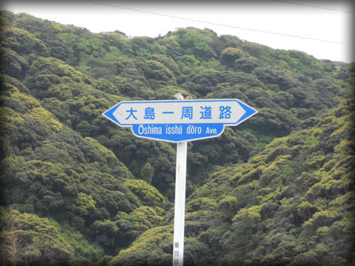 20110423_15.JPG