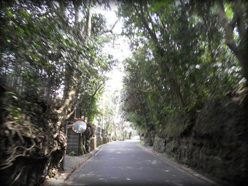 20110423_16.JPG