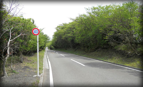 20110423_17.JPG