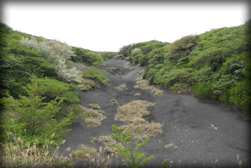 20110423_18.JPG