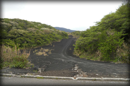 20110423_19.JPG