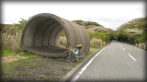 20110423_20.JPG