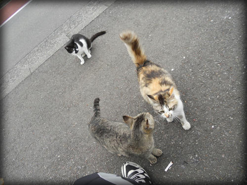 20110423_26.JPG