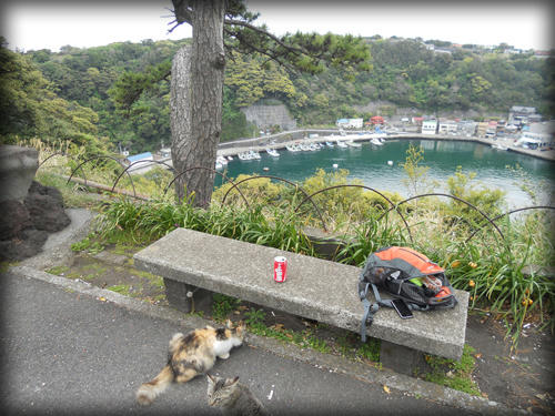 20110423_27.JPG