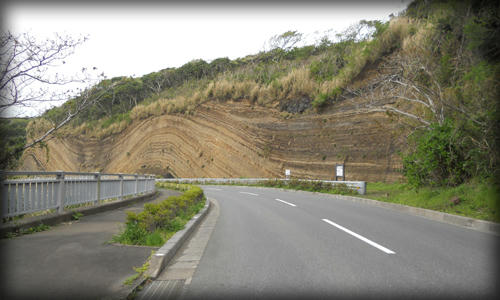 20110423_30.JPG