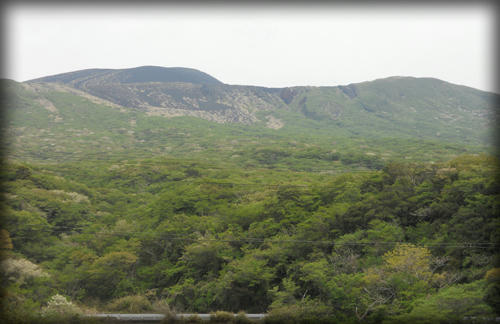 20110423_32.JPG