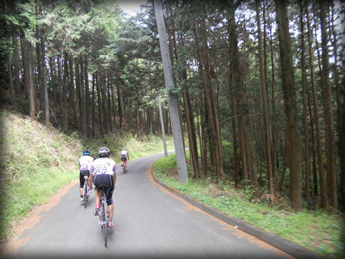 20110503_19.JPG
