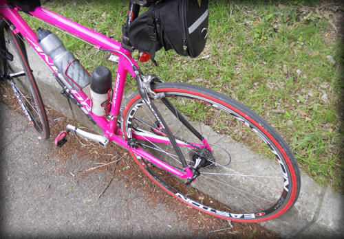 20110507_6.JPG