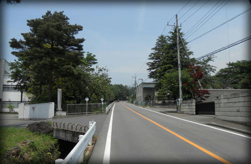 20110506_5.JPG