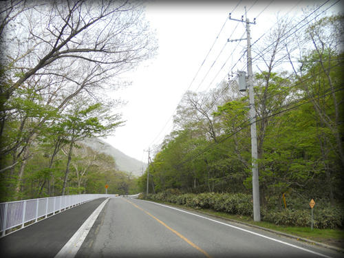 20110506_15.JPG