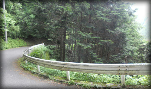 20110703_17.JPG