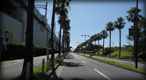2825781e.JPG