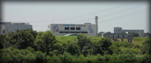 d89bdc54.JPG
