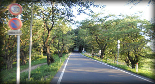 c16e50f1.JPG