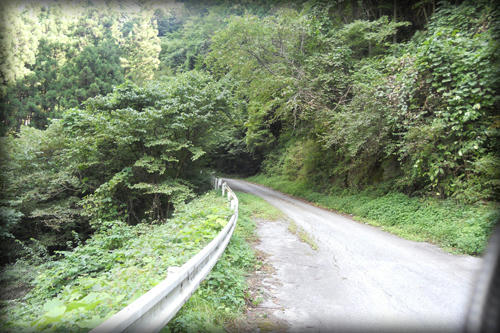 20110918_15.JPG