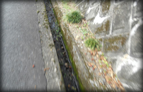 20110918_23.JPG