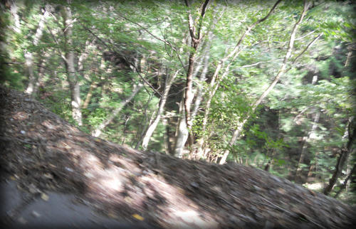 20110918_24.JPG