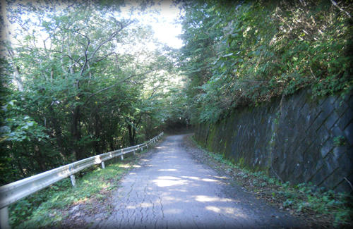 20110918_27.JPG
