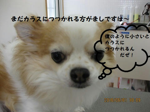 IMG_1082.JPG