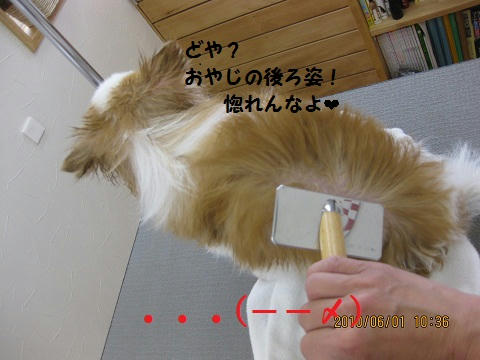IMG_1087.JPG