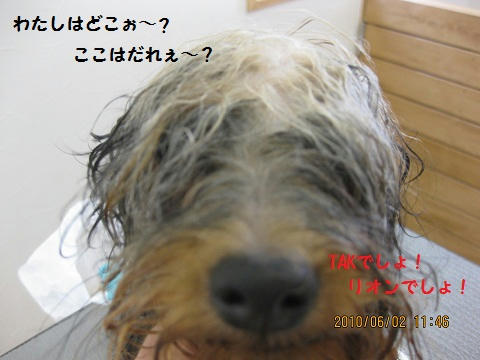 IMG_1118.JPG