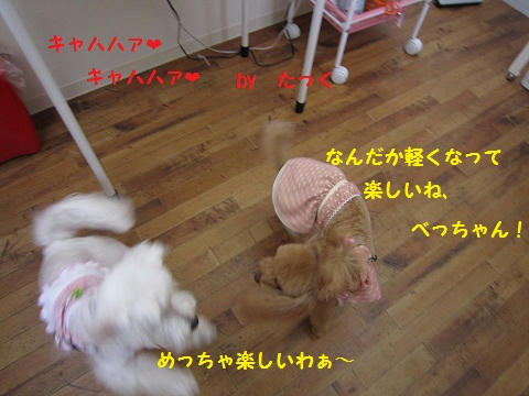 IMG_0134.JPG