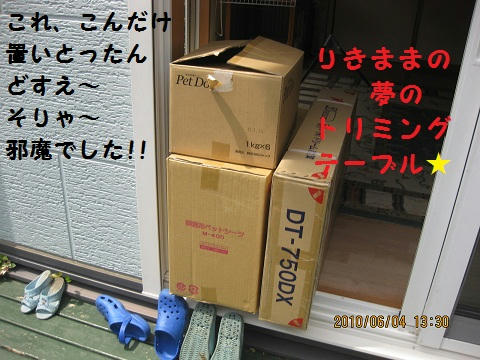 IMG_1238.JPG