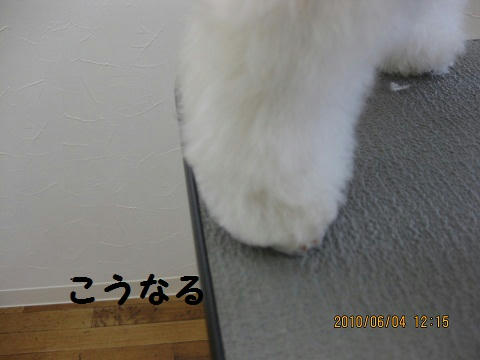 IMG_1204.JPG