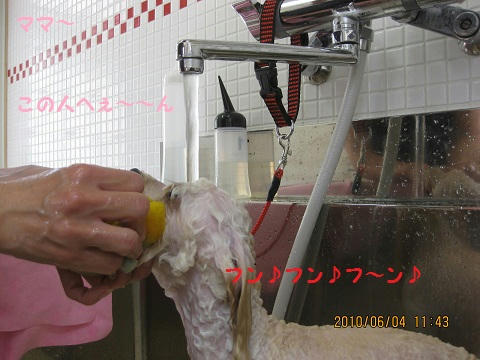 IMG_1185.JPG