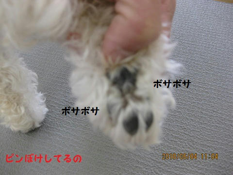 IMG_1163.JPG