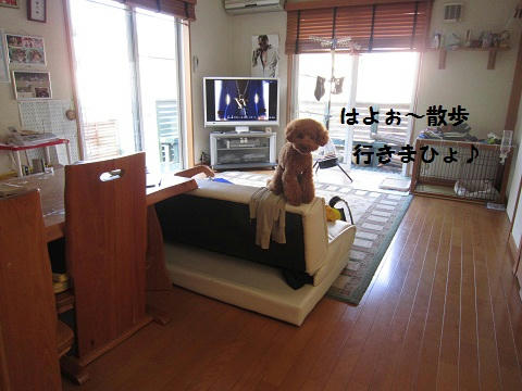 f245859e.JPG