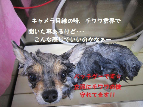 IMG_0670.JPG