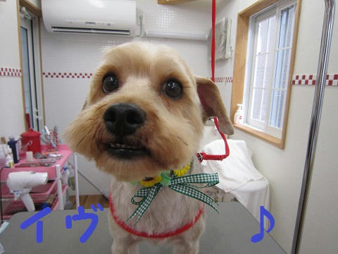 03730325.JPG