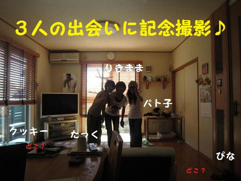 81897e70.JPG