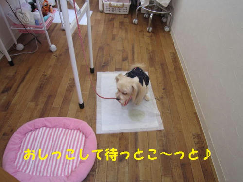 0110906c.JPG
