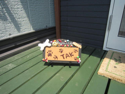 e2fafa04.JPG